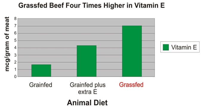 animal-diet