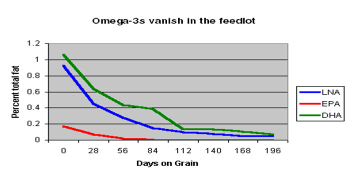 omega3