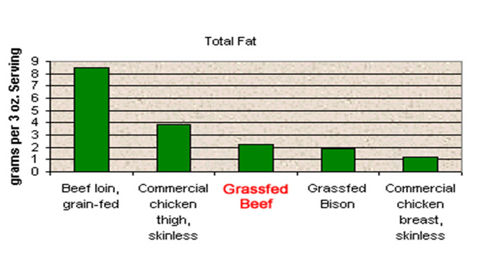 total-fat